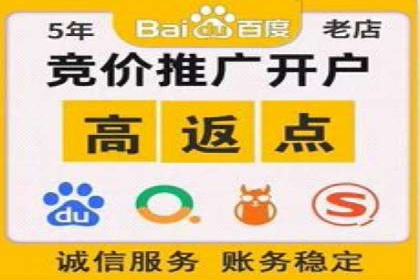 精选案例分享：SEM代运营公司效果展示